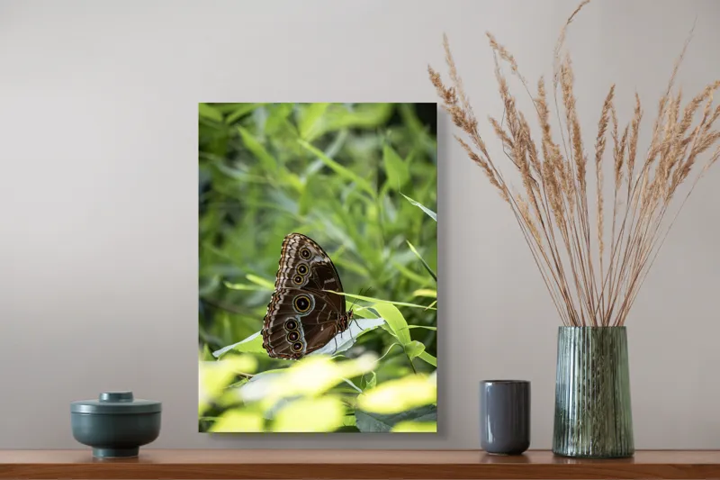 Tablou Canvas, "Fluture în reflexii de lumină verde", Fluture, Aripi, Natură, Verde, Frunze, Detaliu, Fragilitate, Eleganță, Lumină, 39 x 54 cm – poza 3
