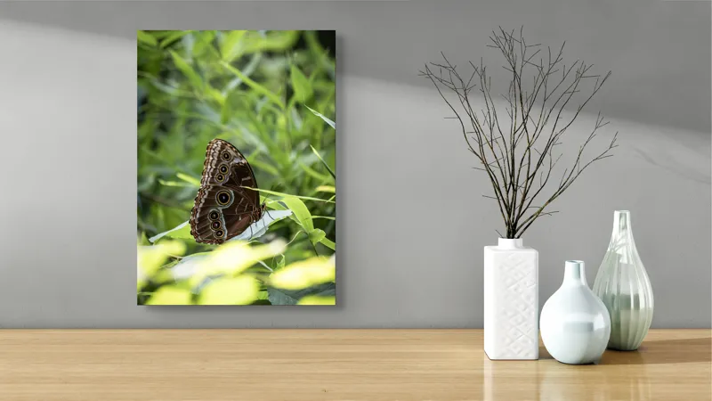 Tablou Canvas, "Fluture în reflexii de lumină verde", Fluture, Aripi, Natură, Verde, Frunze, Detaliu, Fragilitate, Eleganță, Lumină, 39 x 54 cm – poza 4
