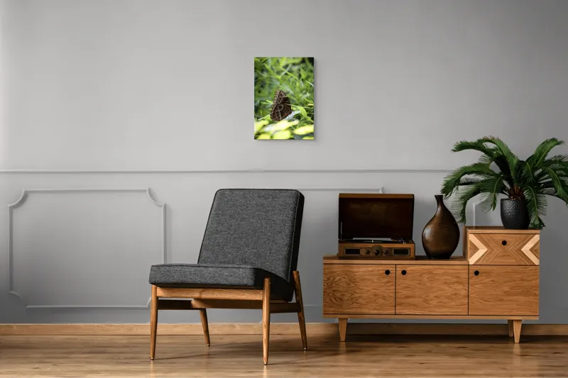 Tablou Canvas, "Fluture în reflexii de lumină verde", Fluture, Aripi, Natură, Verde, Frunze, Detaliu, Fragilitate, Eleganță, Lumină, 39 x 54 cm – poza 8