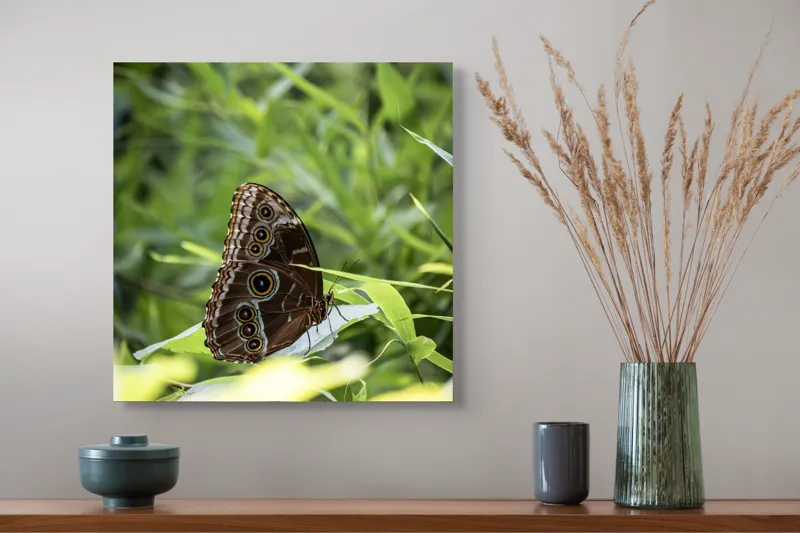 Tablou Canvas, "Fluture în reflexii de lumină verde", Fluture, Aripi, Natură, Verde, Frunze, Detaliu, Fragilitate, Eleganță, Lumină, 50 x 50 cm – poza 4