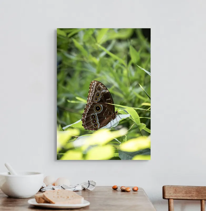Tablou Canvas, "Fluture în reflexii de lumină verde", Fluture, Aripi, Natură, Verde, Frunze, Detaliu, Fragilitate, Eleganță, Lumină, 50 x 70 cm – poza 3