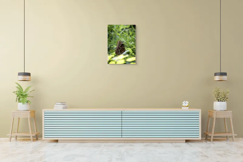 Tablou Canvas, "Fluture în reflexii de lumină verde", Fluture, Aripi, Natură, Verde, Frunze, Detaliu, Fragilitate, Eleganță, Lumină, 50 x 70 cm – poza 6