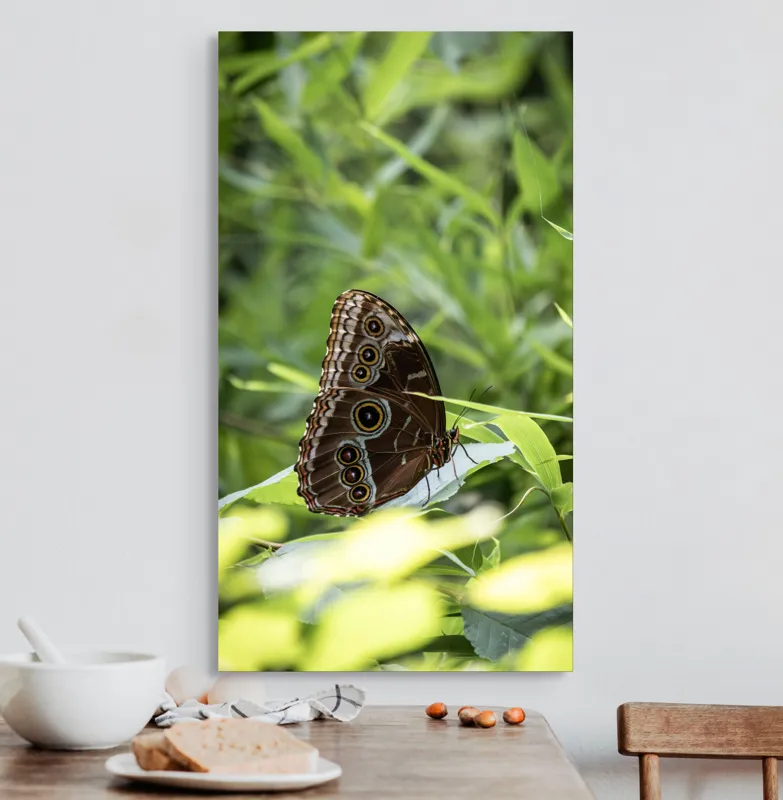 Tablou Canvas, "Fluture în reflexii de lumină verde", Fluture, Aripi, Natură, Verde, Frunze, Detaliu, Fragilitate, Eleganță, Lumină, 50 x 90 cm – poza 3
