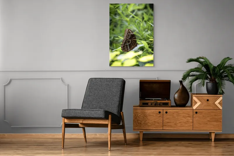 Tablou Canvas, "Fluture în reflexii de lumină verde", Fluture, Aripi, Natură, Verde, Frunze, Detaliu, Fragilitate, Eleganță, Lumină, 70 x 100 cm – poza 6