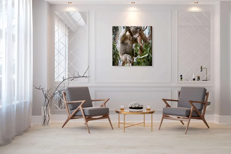 Tablou Canvas, "Koala printre frunzele de eucalipt", Koala, Copac, Frunze, Blană, Adorabil, Eucalipt, Natură, Ținută, Ramuri, 100 x 100 cm – poza 7