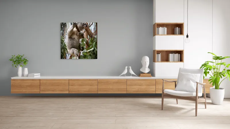 Tablou Canvas, "Koala printre frunzele de eucalipt", Koala, Copac, Frunze, Blană, Adorabil, Eucalipt, Natură, Ținută, Ramuri, 100 x 100 cm – poza 8
