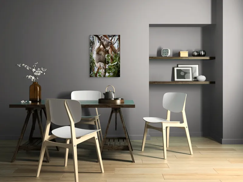 Tablou Canvas, "Koala printre frunzele de eucalipt", Koala, Copac, Frunze, Blană, Adorabil, Eucalipt, Natură, Ținută, Ramuri, 50 x 70 cm – poza 5