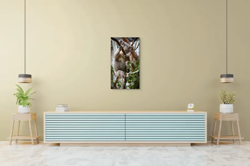 Tablou Canvas, "Koala printre frunzele de eucalipt", Koala, Copac, Frunze, Blană, Adorabil, Eucalipt, Natură, Ținută, Ramuri, 50 x 90 cm – poza 6