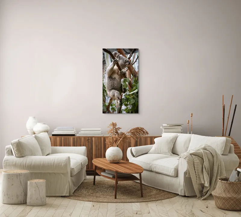 Tablou Canvas, "Koala printre frunzele de eucalipt", Koala, Copac, Frunze, Blană, Adorabil, Eucalipt, Natură, Ținută, Ramuri, 50 x 90 cm – poza 7
