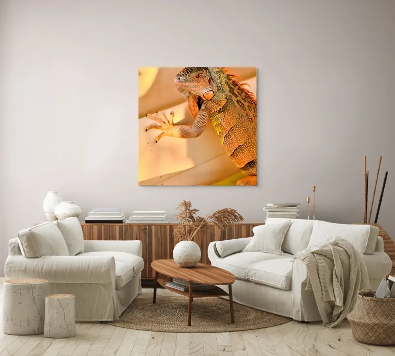 Tablou Canvas, "Iguana odihnindu-se la soare", Iguana, Texturi, Culori, Solzi, Privește, Detaliu, Relaxare, Scurt Moment, 100 x 100 cm – poza 3