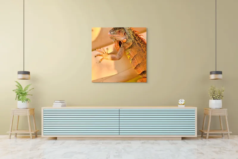 Tablou Canvas, "Iguana odihnindu-se la soare", Iguana, Texturi, Culori, Solzi, Privește, Detaliu, Relaxare, Scurt Moment, 100 x 100 cm – poza 5