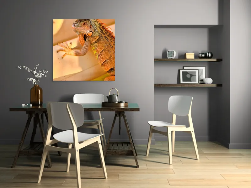 Tablou Canvas, "Iguana odihnindu-se la soare", Iguana, Texturi, Culori, Solzi, Privește, Detaliu, Relaxare, Scurt Moment, 100 x 100 cm – poza 6