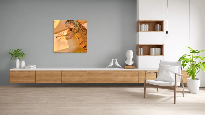 Tablou Canvas, "Iguana odihnindu-se la soare", Iguana, Texturi, Culori, Solzi, Privește, Detaliu, Relaxare, Scurt Moment, 100 x 100 cm – poza 8