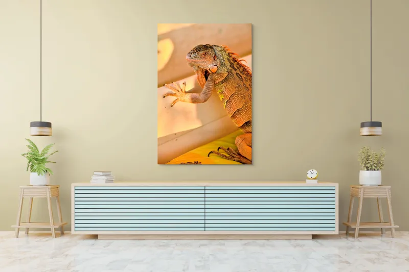 Tablou Canvas, "Iguana odihnindu-se la soare", Iguana, Texturi, Culori, Solzi, Privește, Detaliu, Relaxare, Scurt Moment, 100 x 150 cm – poza 4