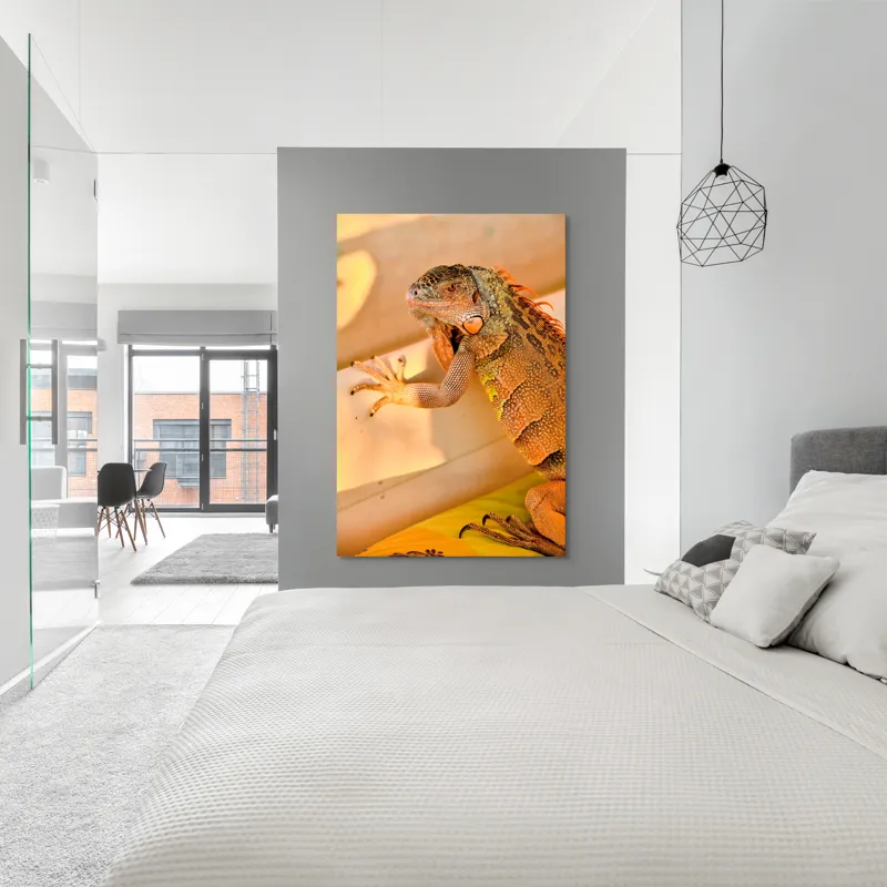 Tablou Canvas, "Iguana odihnindu-se la soare", Iguana, Texturi, Culori, Solzi, Privește, Detaliu, Relaxare, Scurt Moment, 100 x 150 cm – poza 5
