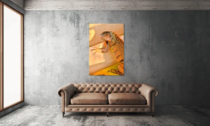 Tablou Canvas, "Iguana odihnindu-se la soare", Iguana, Texturi, Culori, Solzi, Privește, Detaliu, Relaxare, Scurt Moment, 100 x 150 cm – poza 6