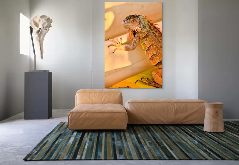 Tablou Canvas, "Iguana odihnindu-se la soare", Iguana, Texturi, Culori, Solzi, Privește, Detaliu, Relaxare, Scurt Moment, 100 x 150 cm – poza 7