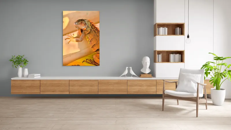 Tablou Canvas, "Iguana odihnindu-se la soare", Iguana, Texturi, Culori, Solzi, Privește, Detaliu, Relaxare, Scurt Moment, 100 x 150 cm – poza 8