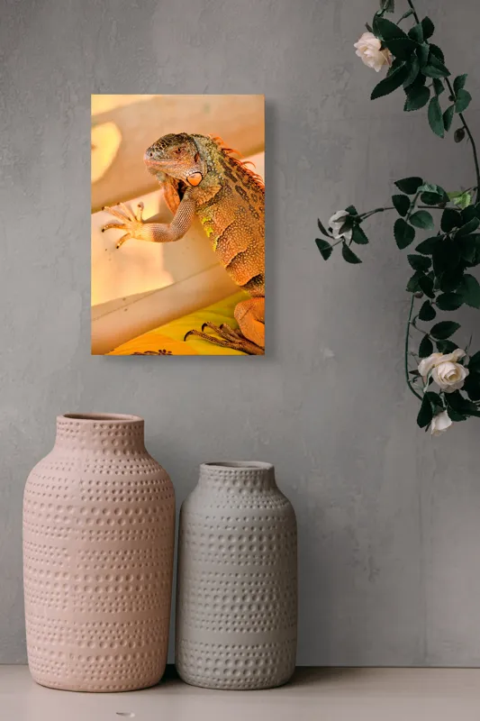 Tablou Canvas, "Iguana odihnindu-se la soare", Iguana, Texturi, Culori, Solzi, Privește, Detaliu, Relaxare, Scurt Moment, 26 x 39 cm – poza 6
