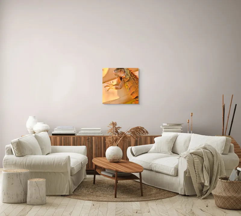 Tablou Canvas, "Iguana odihnindu-se la soare", Iguana, Texturi, Culori, Solzi, Privește, Detaliu, Relaxare, Scurt Moment, 50 x 50 cm – poza 7