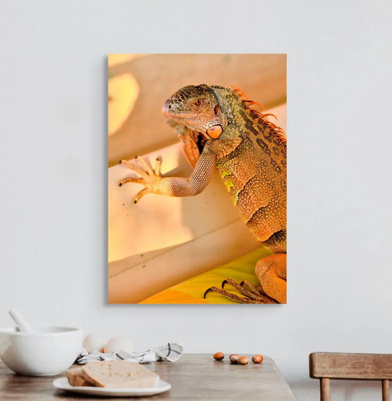 Tablou Canvas, "Iguana odihnindu-se la soare", Iguana, Texturi, Culori, Solzi, Privește, Detaliu, Relaxare, Scurt Moment, 50 x 70 cm – poza 3