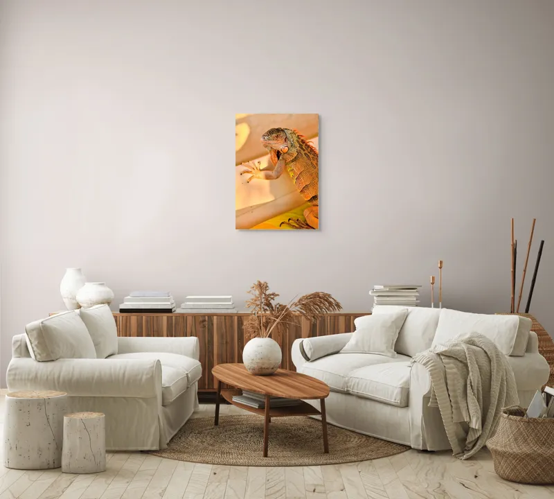 Tablou Canvas, "Iguana odihnindu-se la soare", Iguana, Texturi, Culori, Solzi, Privește, Detaliu, Relaxare, Scurt Moment, 50 x 70 cm – poza 4