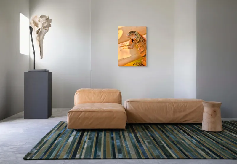 Tablou Canvas, "Iguana odihnindu-se la soare", Iguana, Texturi, Culori, Solzi, Privește, Detaliu, Relaxare, Scurt Moment, 50 x 70 cm – poza 7