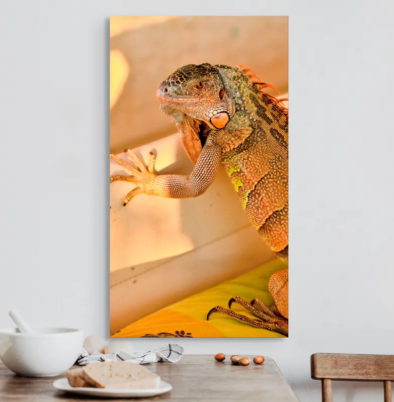 Tablou Canvas, "Iguana odihnindu-se la soare", Iguana, Texturi, Culori, Solzi, Privește, Detaliu, Relaxare, Scurt Moment, 50 x 90 cm – poza 3