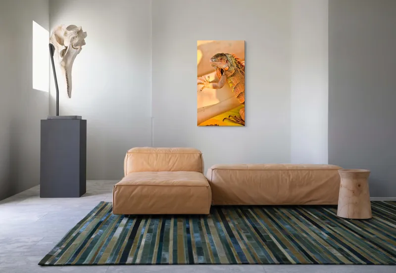 Tablou Canvas, "Iguana odihnindu-se la soare", Iguana, Texturi, Culori, Solzi, Privește, Detaliu, Relaxare, Scurt Moment, 50 x 90 cm – poza 5