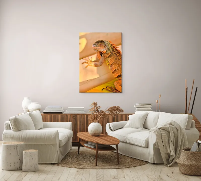 Tablou Canvas, "Iguana odihnindu-se la soare", Iguana, Texturi, Culori, Solzi, Privește, Detaliu, Relaxare, Scurt Moment, 70 x 100 cm – poza 4