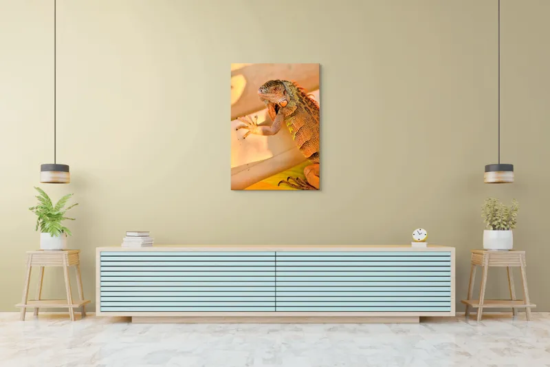 Tablou Canvas, "Iguana odihnindu-se la soare", Iguana, Texturi, Culori, Solzi, Privește, Detaliu, Relaxare, Scurt Moment, 70 x 100 cm – poza 5