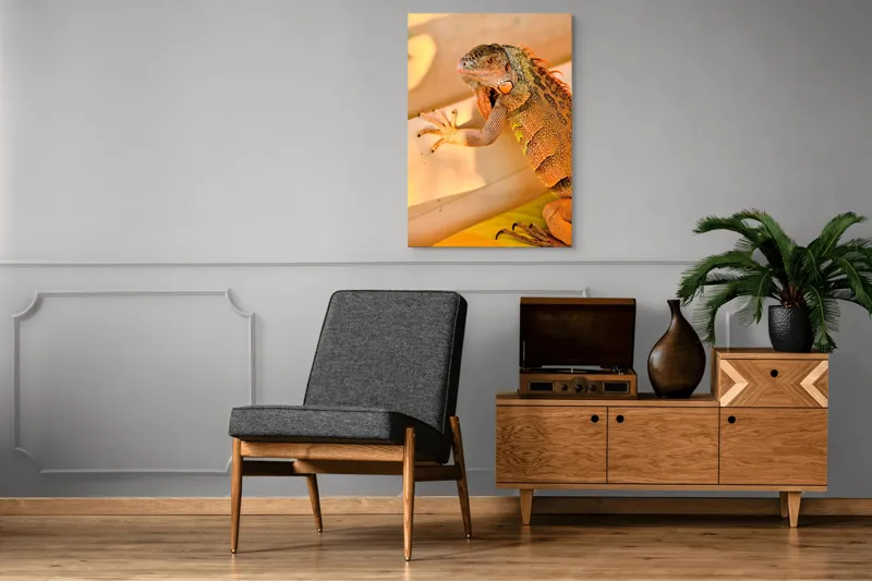 Tablou Canvas, "Iguana odihnindu-se la soare", Iguana, Texturi, Culori, Solzi, Privește, Detaliu, Relaxare, Scurt Moment, 70 x 100 cm – poza 6