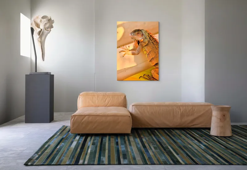 Tablou Canvas, "Iguana odihnindu-se la soare", Iguana, Texturi, Culori, Solzi, Privește, Detaliu, Relaxare, Scurt Moment, 70 x 100 cm – poza 7