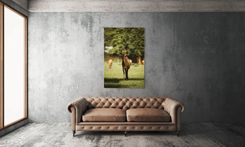 Tablou Canvas, "Cerbul tânăr în lumina dimineții", I don't know who this is., 100 x 150 cm – poza 6