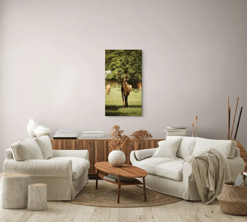 Tablou Canvas, "Cerbul tânăr în lumina dimineții", I don't know who this is., 50 x 90 cm – poza 7