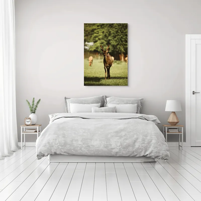 Tablou Canvas, "Cerbul tânăr în lumina dimineții", I don't know who this is., 70 x 100 cm – poza 3