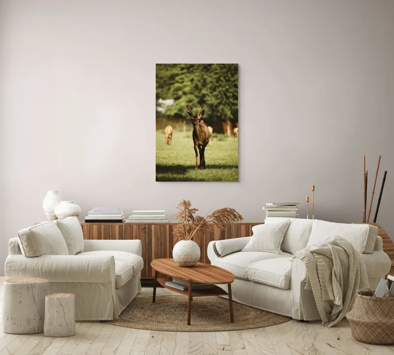 Tablou Canvas, "Cerbul tânăr în lumina dimineții", I don't know who this is., 70 x 100 cm – poza 4