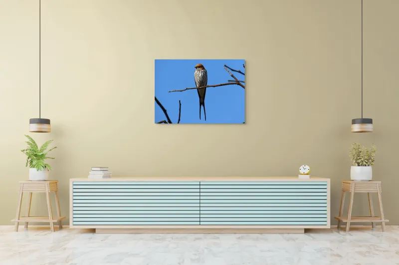 Tablou Canvas, "Rândunică mândră pe cerul albastru", Păsare, Ramură, Cer, Penaj, Natură, Frumusețe, Liniște, 100 x 70 cm – poza 4