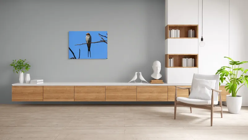 Tablou Canvas, "Rândunică mândră pe cerul albastru", Păsare, Ramură, Cer, Penaj, Natură, Frumusețe, Liniște, 100 x 70 cm – poza 6