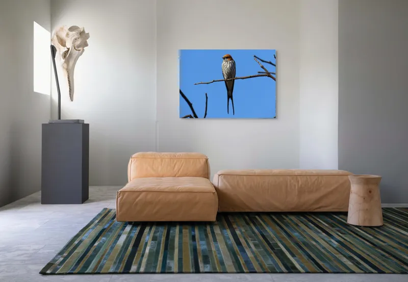 Tablou Canvas, "Rândunică mândră pe cerul albastru", Păsare, Ramură, Cer, Penaj, Natură, Frumusețe, Liniște, 100 x 70 cm – poza 7