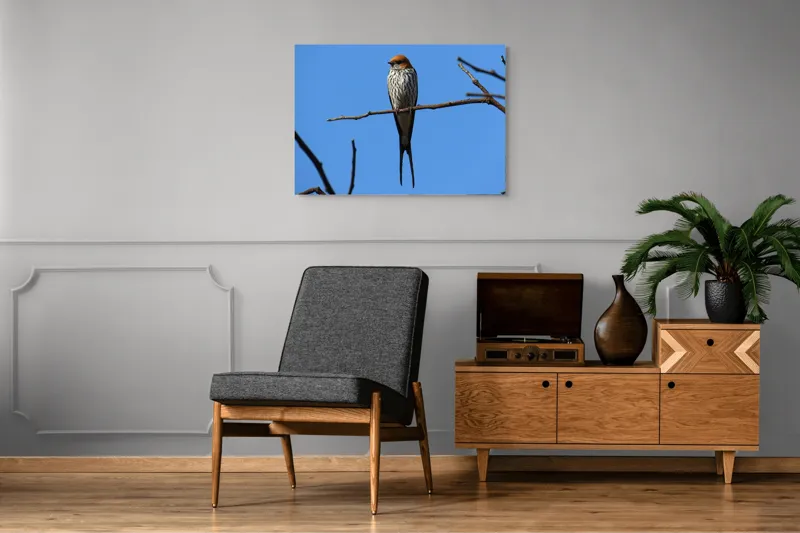 Tablou Canvas, "Rândunică mândră pe cerul albastru", Păsare, Ramură, Cer, Penaj, Natură, Frumusețe, Liniște, 100 x 70 cm – poza 8