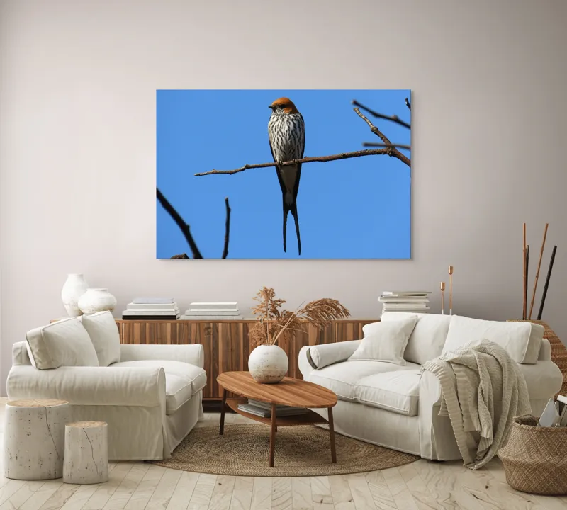Tablou Canvas, "Rândunică mândră pe cerul albastru", Păsare, Ramură, Cer, Penaj, Natură, Frumusețe, Liniște, 150 x 100 cm – poza 3