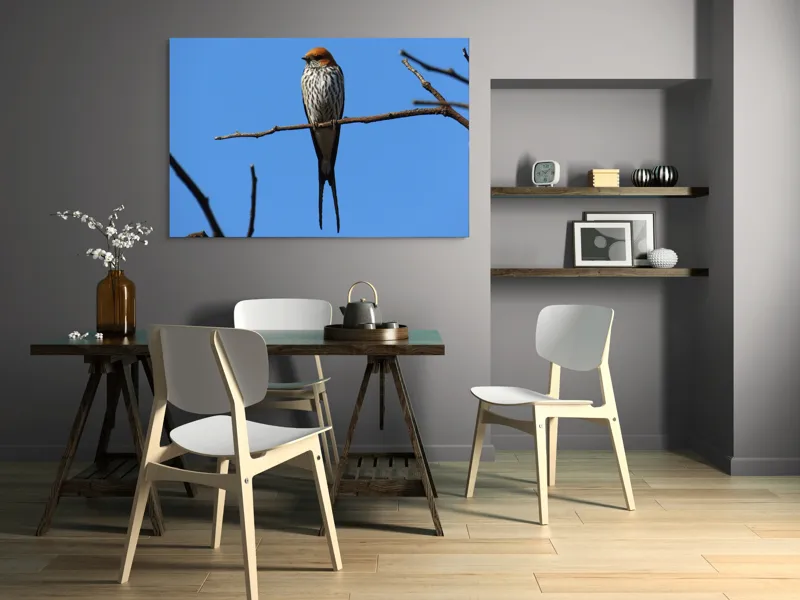 Tablou Canvas, "Rândunică mândră pe cerul albastru", Păsare, Ramură, Cer, Penaj, Natură, Frumusețe, Liniște, 150 x 100 cm – poza 5