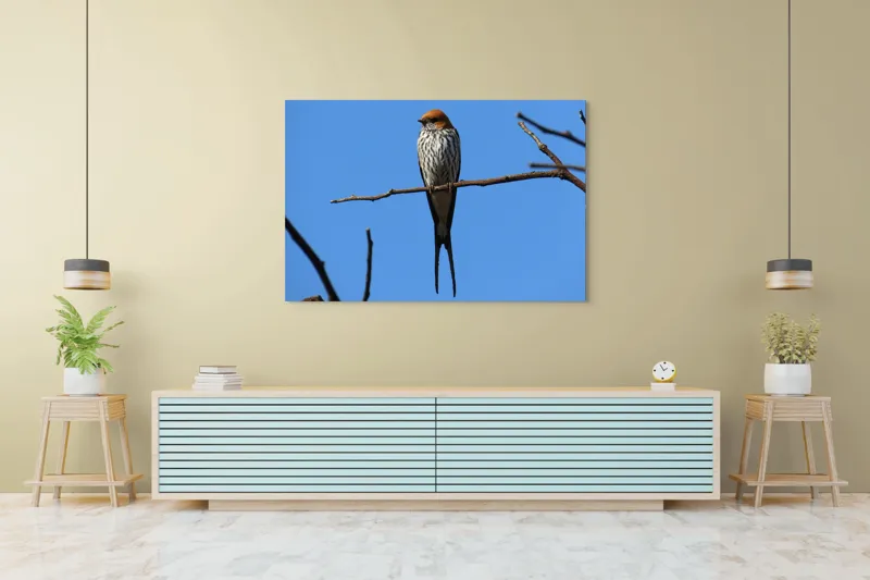 Tablou Canvas, "Rândunică mândră pe cerul albastru", Păsare, Ramură, Cer, Penaj, Natură, Frumusețe, Liniște, 150 x 100 cm – poza 6
