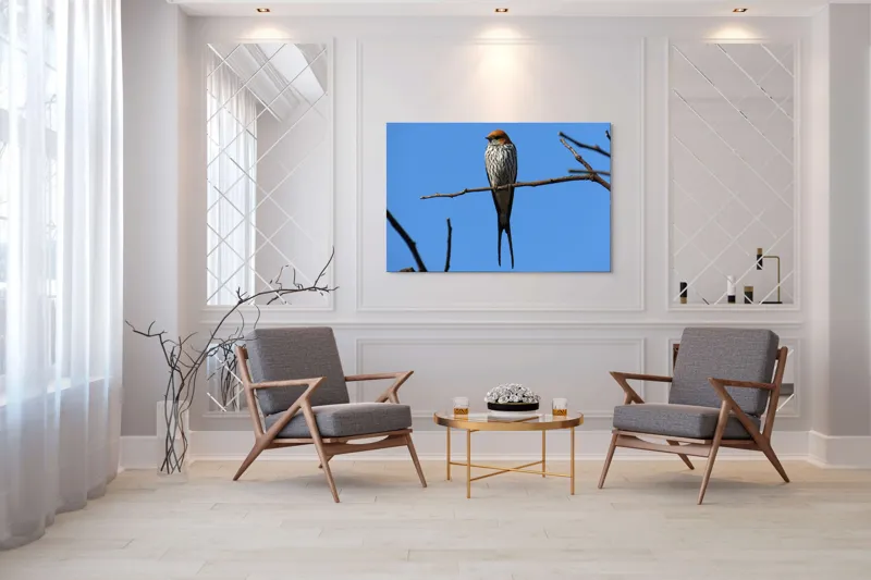 Tablou Canvas, "Rândunică mândră pe cerul albastru", Păsare, Ramură, Cer, Penaj, Natură, Frumusețe, Liniște, 150 x 100 cm – poza 7