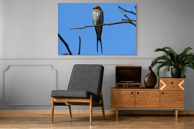 Tablou Canvas, "Rândunică mândră pe cerul albastru", Păsare, Ramură, Cer, Penaj, Natură, Frumusețe, Liniște, 150 x 100 cm – poza 8