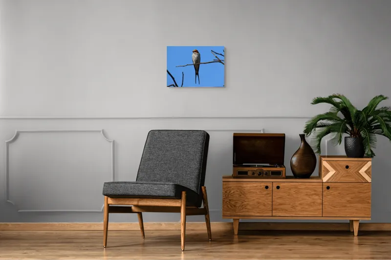 Tablou Canvas, "Rândunică mândră pe cerul albastru", Păsare, Ramură, Cer, Penaj, Natură, Frumusețe, Liniște, 54 x 39 cm – poza 7
