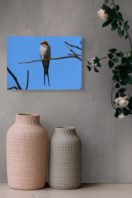 Tablou Canvas, "Rândunică mândră pe cerul albastru", Păsare, Ramură, Cer, Penaj, Natură, Frumusețe, Liniște, 54 x 39 cm – poza 8