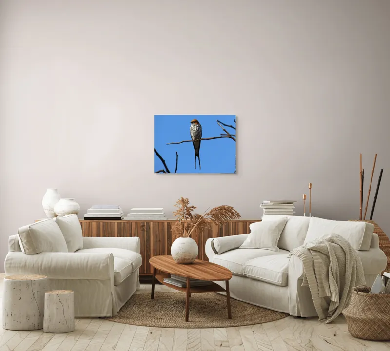 Tablou Canvas, "Rândunică mândră pe cerul albastru", Păsare, Ramură, Cer, Penaj, Natură, Frumusețe, Liniște, 70 x 50 cm – poza 6