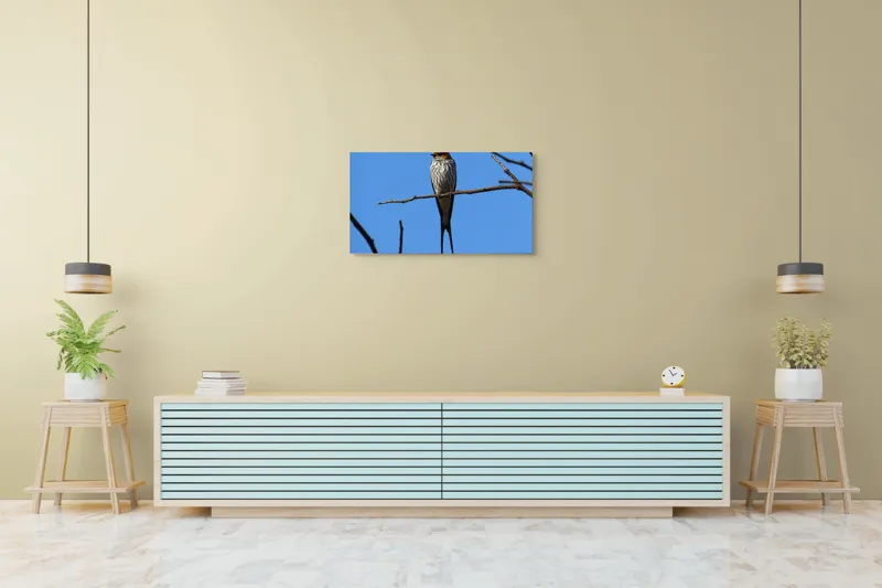 Tablou Canvas, "Rândunică mândră pe cerul albastru", Păsare, Ramură, Cer, Penaj, Natură, Frumusețe, Liniște, 90 x 50 cm – poza 5